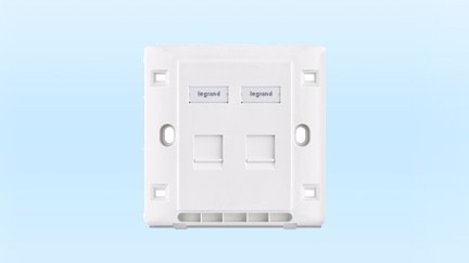 羅格朗2位平口非屏蔽信息面闆