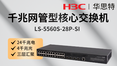 H3C企業交換機 LS-5560S-28P-SI