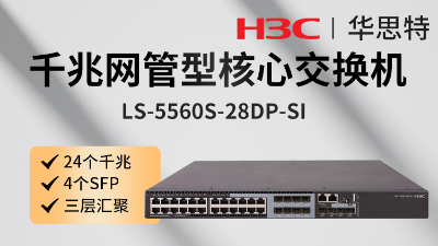 華三交換機 LS-5560S-28DP-SI