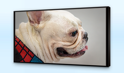 98寸液晶觸控一體機