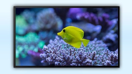 32寸壁挂式液晶廣告機