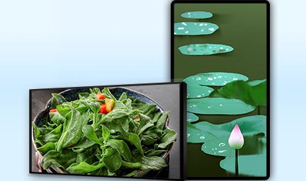 65寸壁挂式液晶廣告機