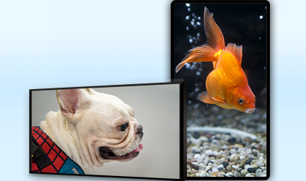 75寸壁挂式液晶廣告機