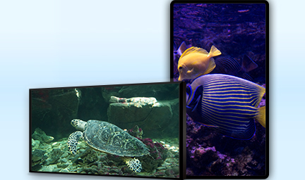 85寸壁挂式液晶廣告機